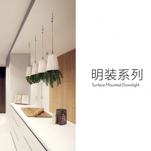 surface mounted downlight