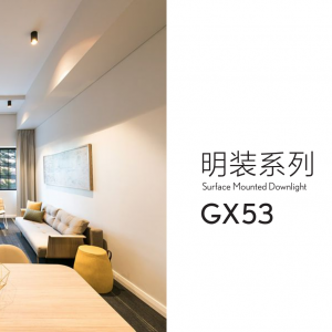 surface mounted downlight GX53