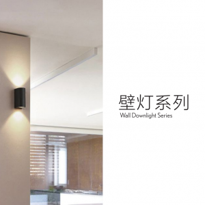 wall downlight series