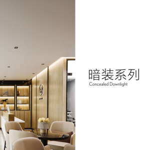 embeded downlight series