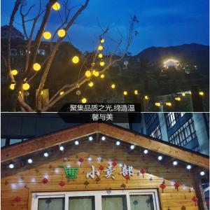 LED series bulb outdoor lighting