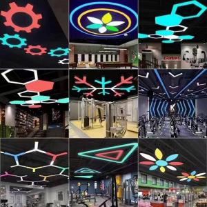 custom shape ceiling lamp