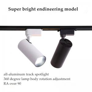 custom track light