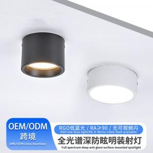 open-installation downlight spotlight