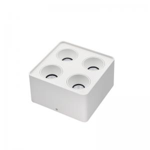 open-installation downlight