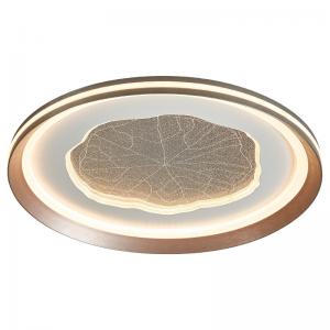 warm style ceiling lamp